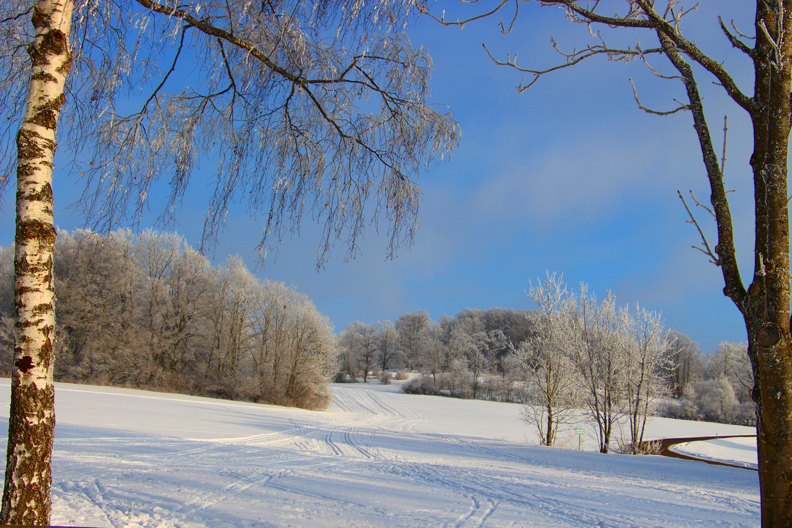 Winterschneelandschaft auf der schwäbischen Alb