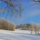 Winterschneelandschaft auf der schwäbischen Alb