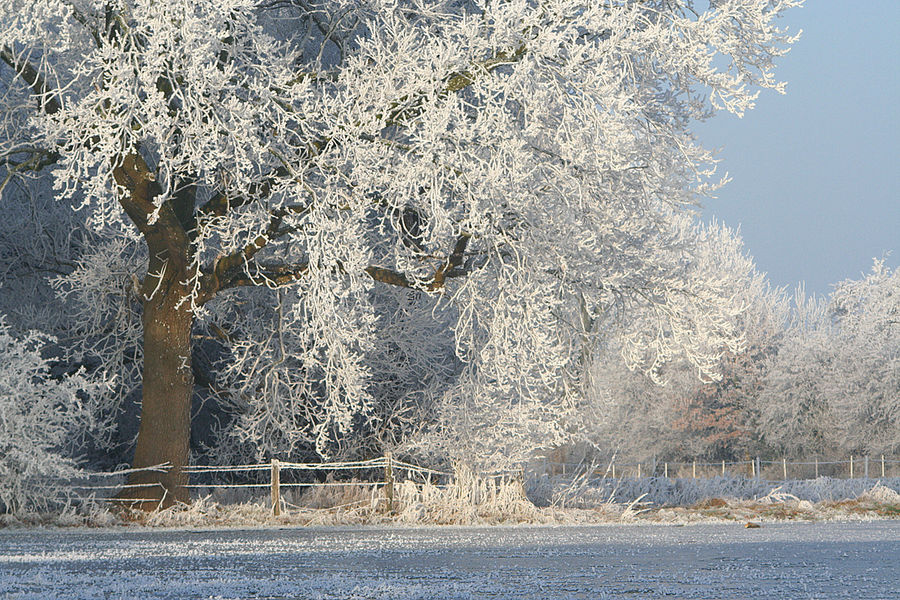 winterschön ...