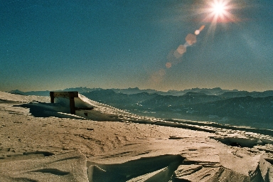 Winterschönheit