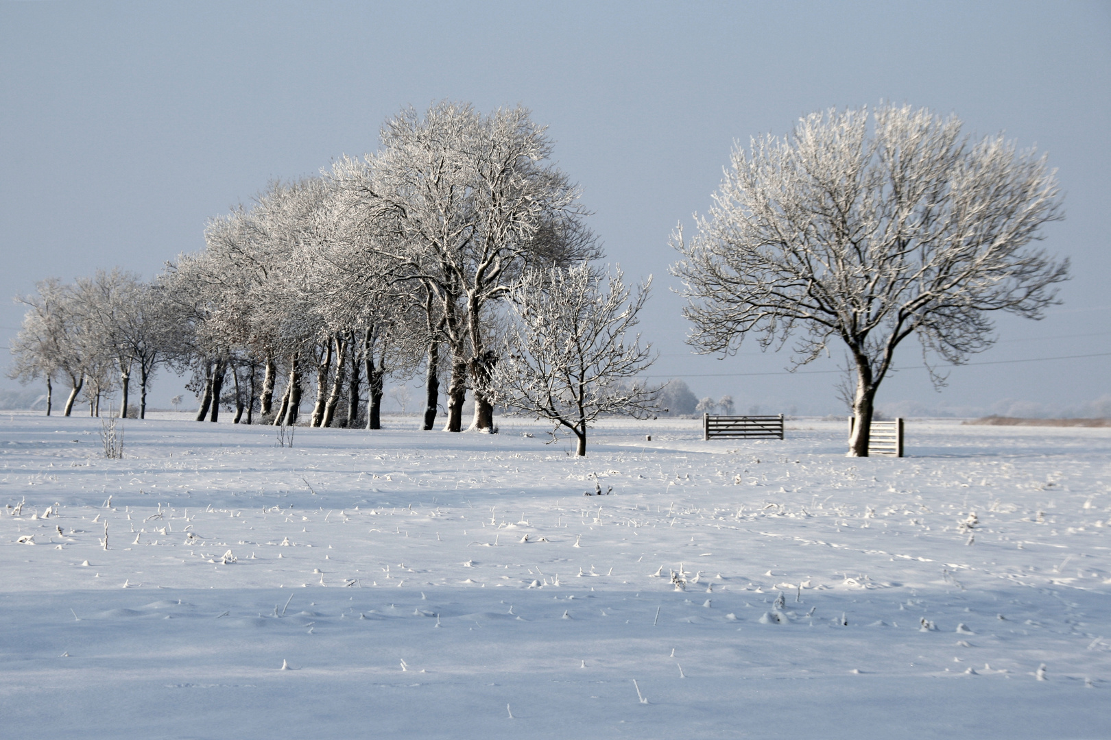 Winterschönheit 2