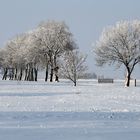 Winterschönheit 2