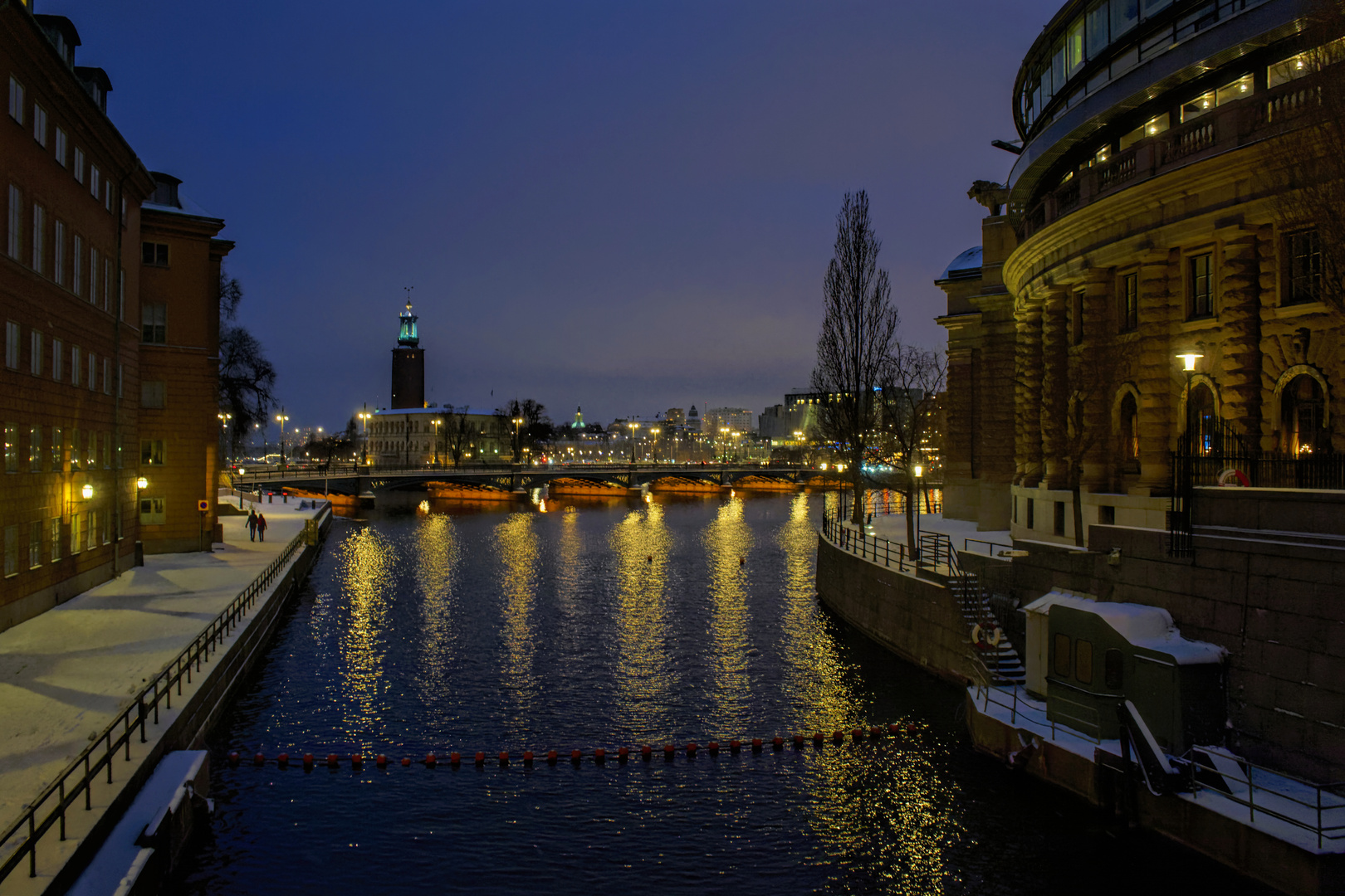 Winterschönheit