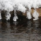 Winterschönheit am Schlerbach Januar 2012