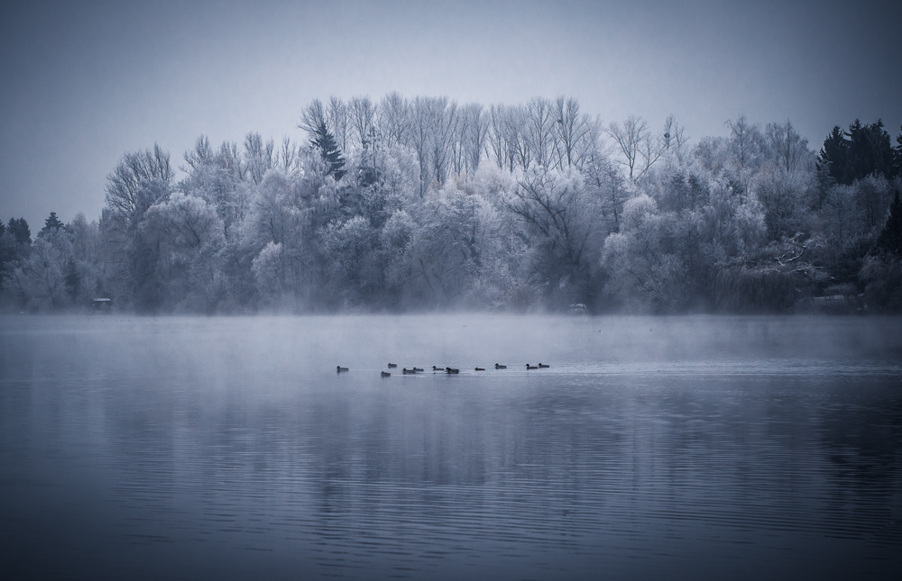 * Winterschwimmen *