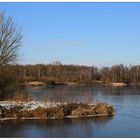 WinterSee