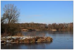 WinterSee