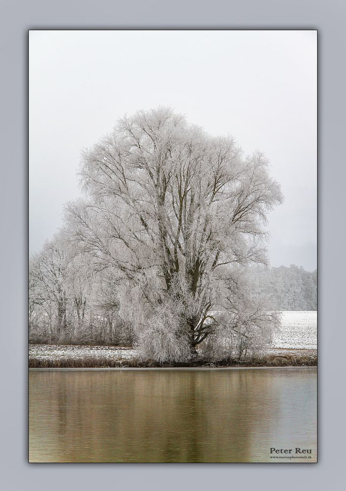 Wintersee...