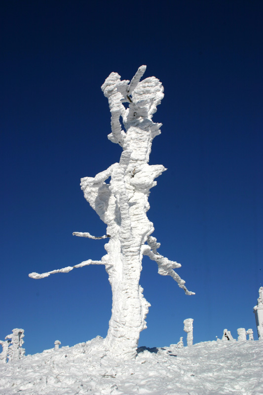 Winterskulptur