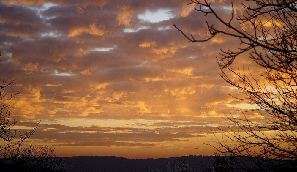 Wintersky