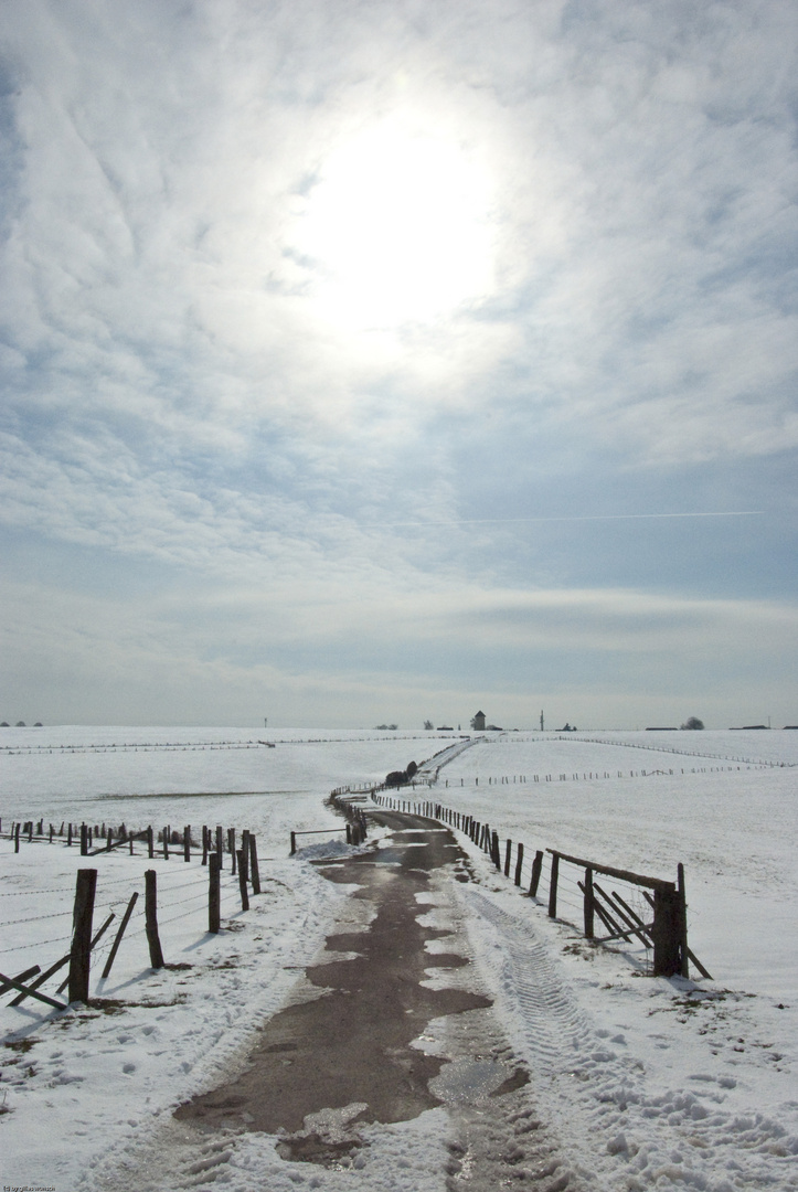 wintersky in Crendal L-9743 Luxembourg (c) gilles wunsch