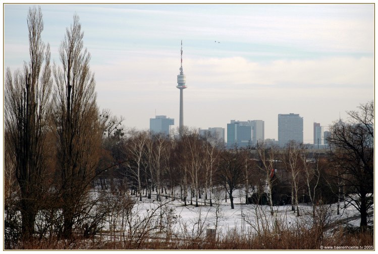 Winterskyline