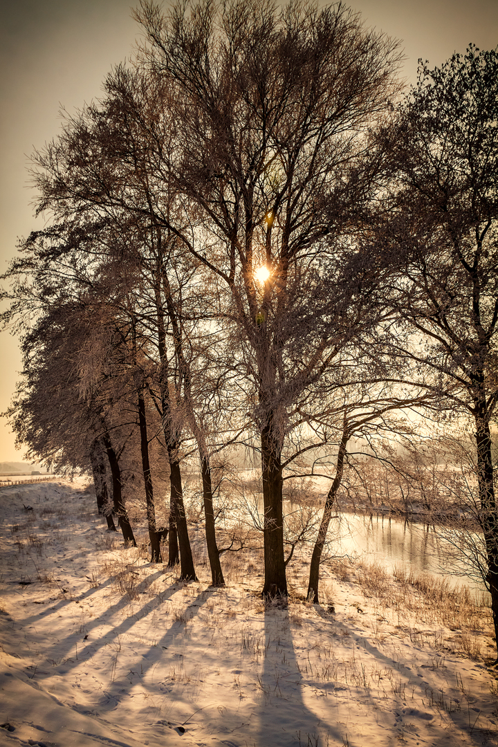 Wintersommer