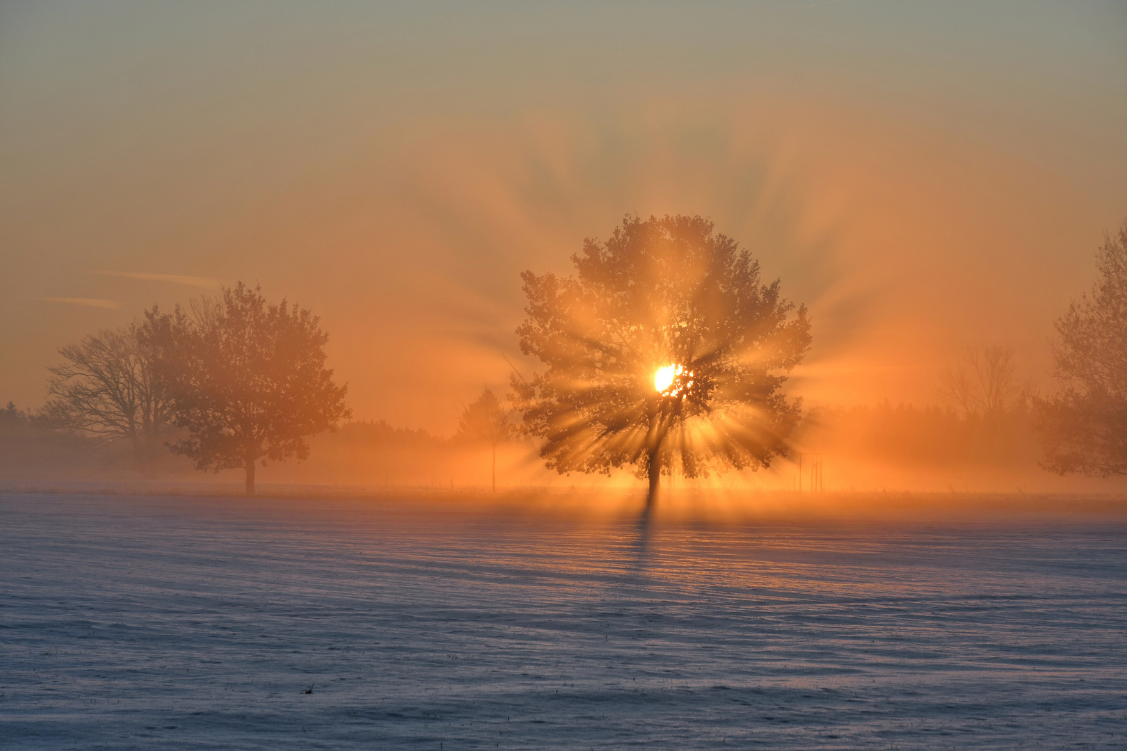 Wintersonne 