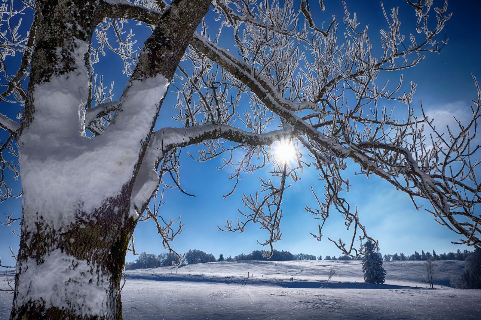 Wintersonne