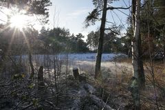 Wintersonne