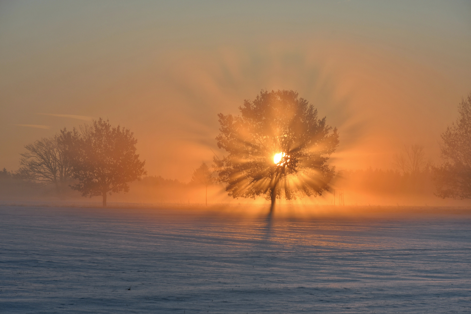 Wintersonne