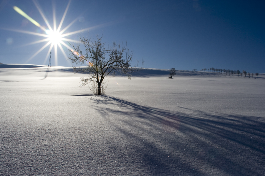 Wintersonne