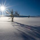 Wintersonne