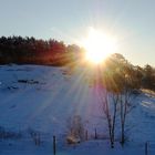 Wintersonne