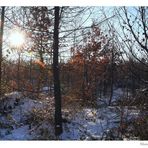 wintersonne (1)