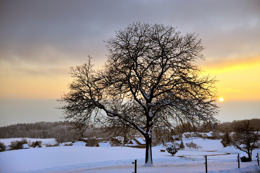 Wintersonne