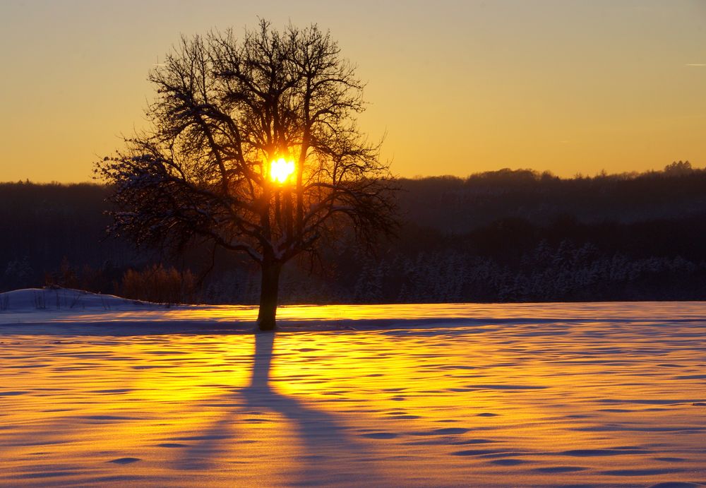 Wintersonne von Rainer Gallenmüller 