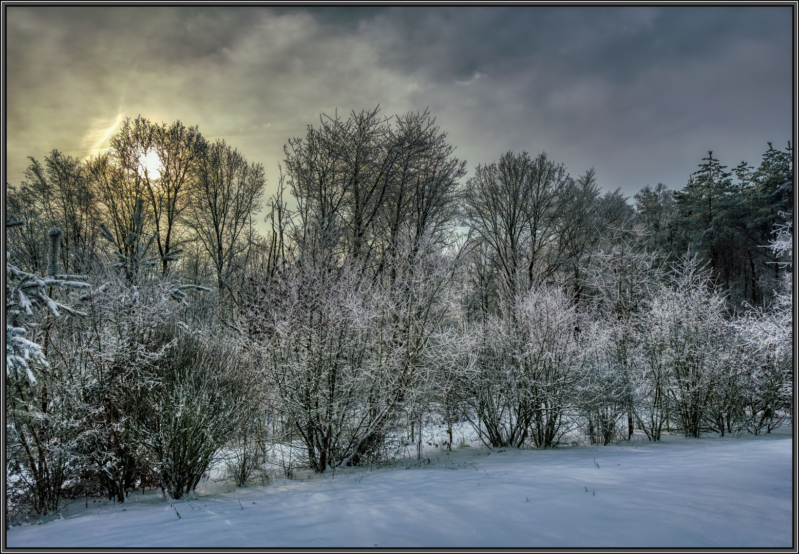 Wintersonne ...