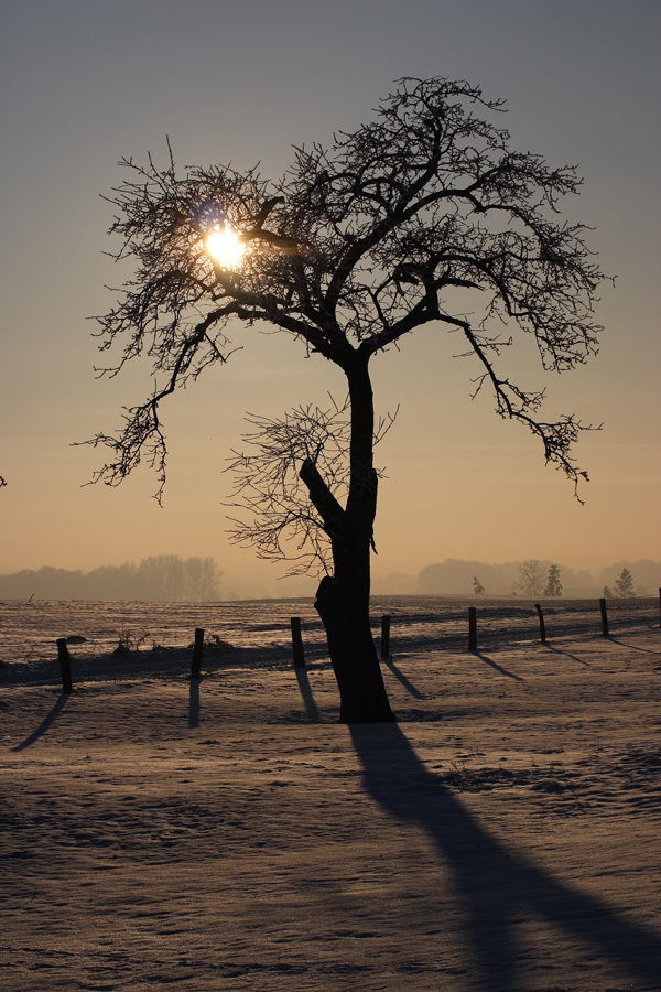 Wintersonne