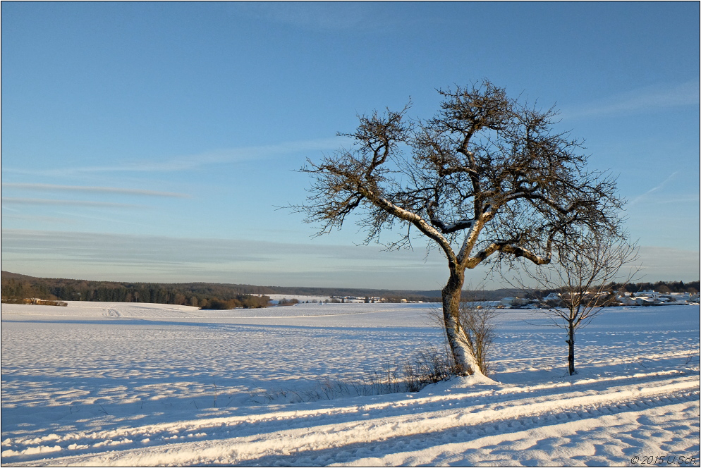 Wintersonne (2)