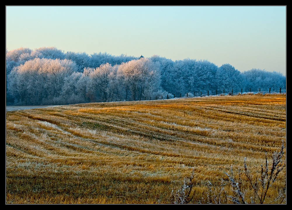 Wintersonne