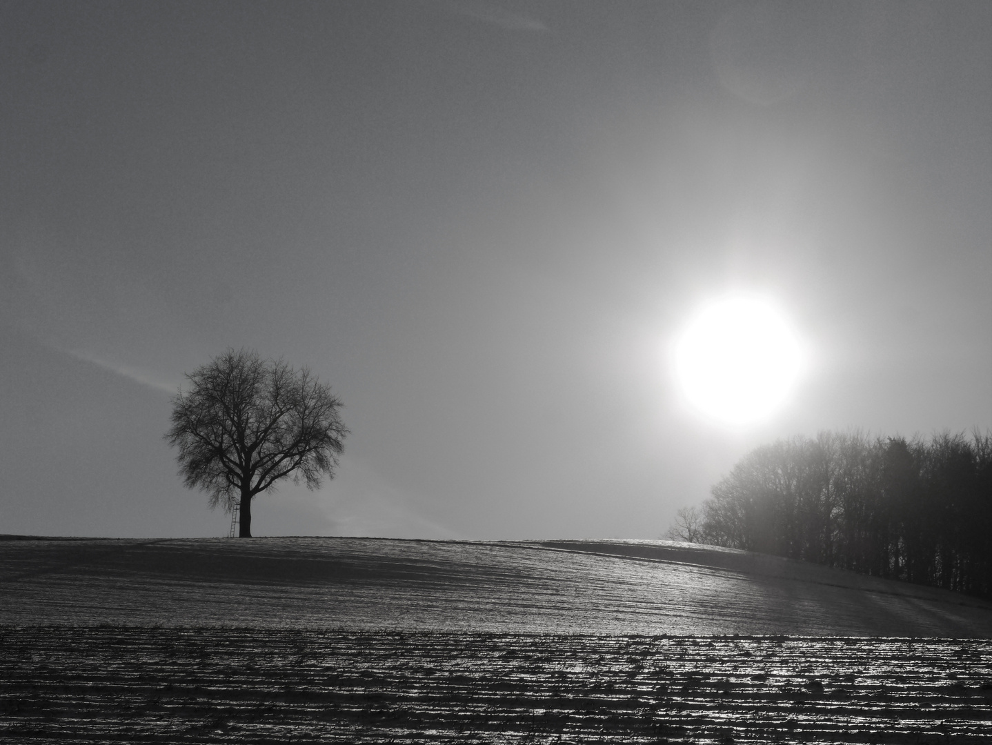 Wintersonne