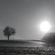 Wintersonne