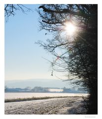 wintersonne (3)