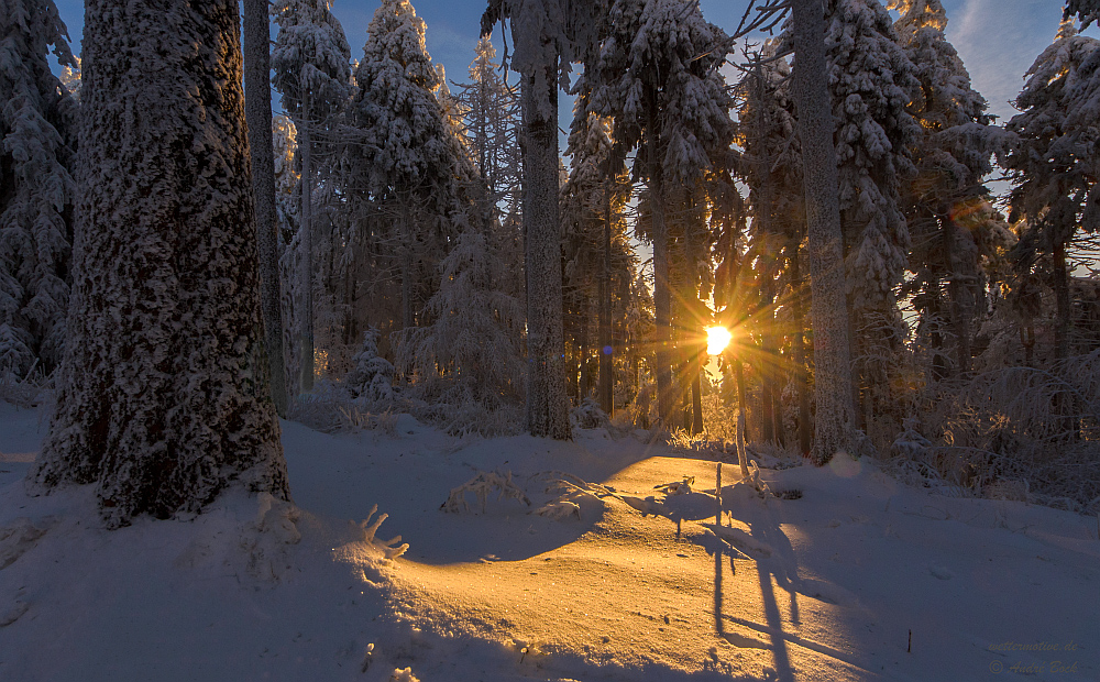 Wintersonne