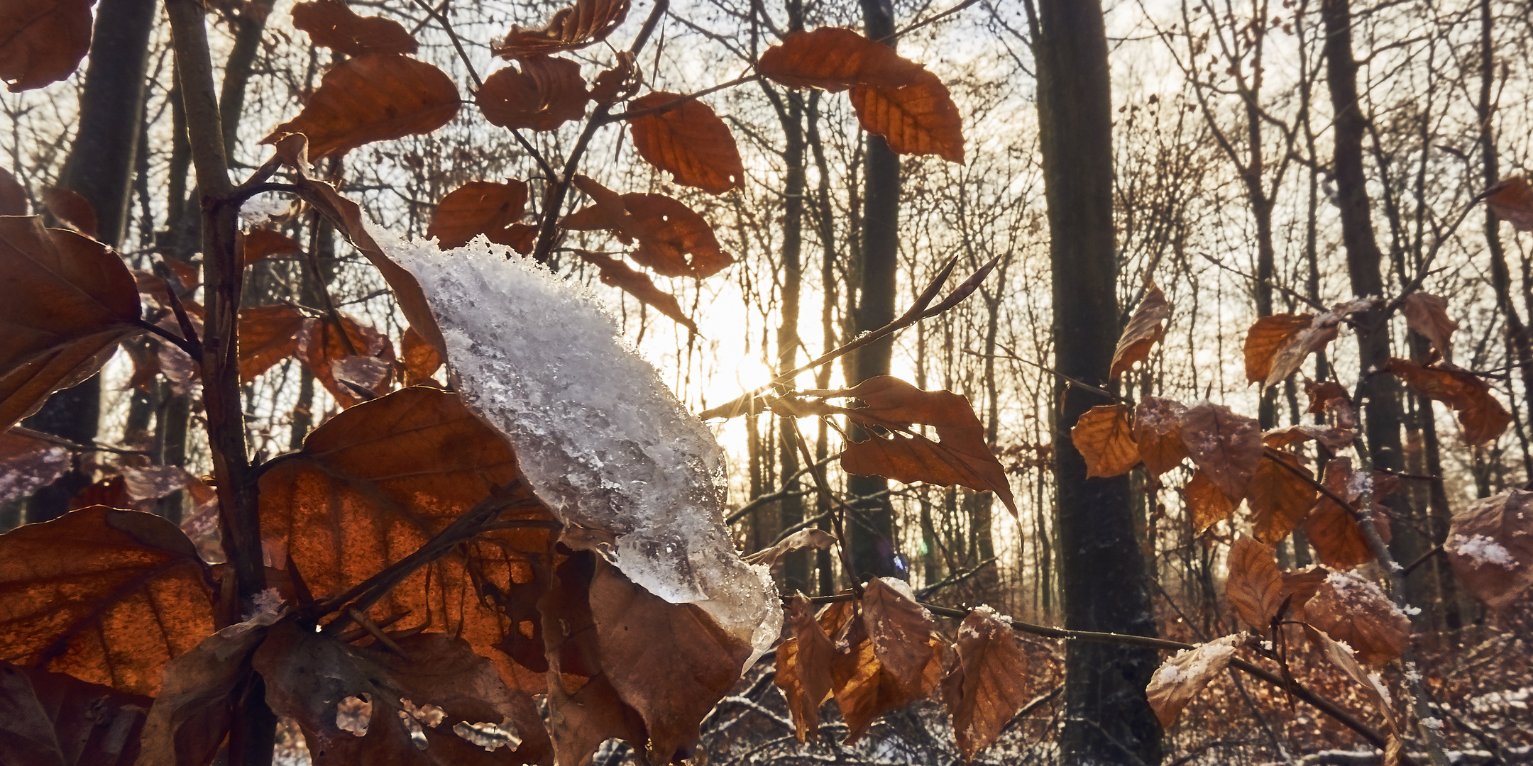 Wintersonne