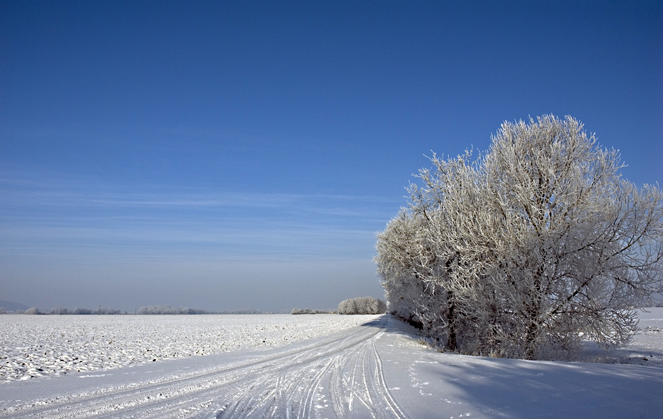 Wintersonne