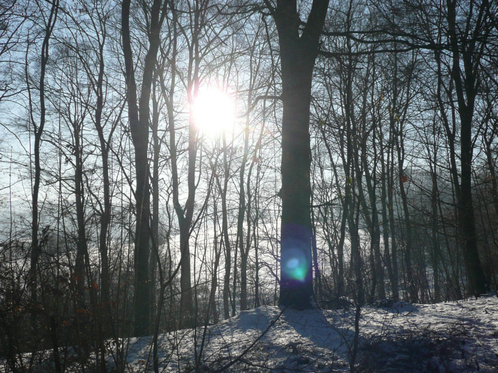 Wintersonne