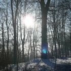 Wintersonne