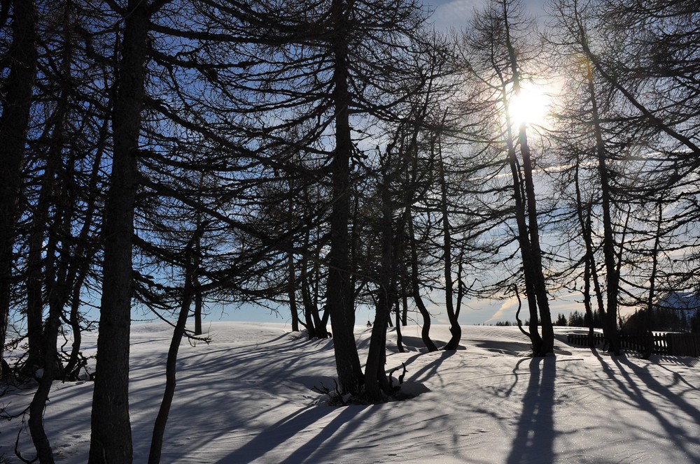 Wintersonne von hvetter 