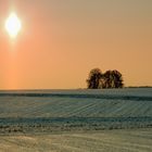 Wintersonne