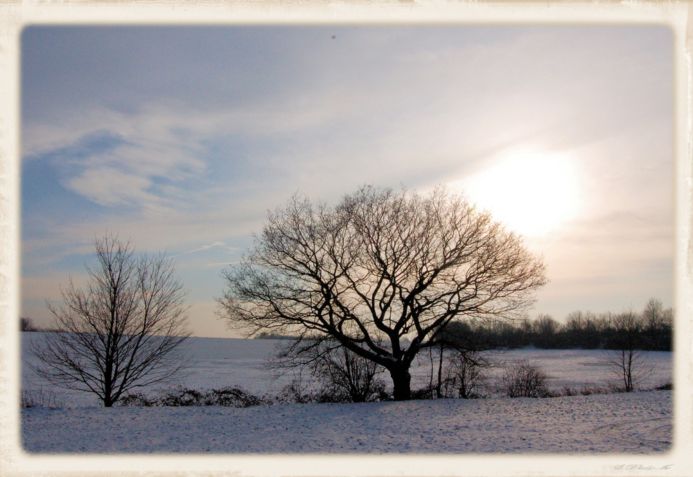 Wintersonne