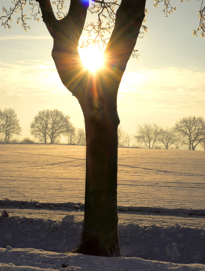 Wintersonne