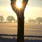 Wintersonne