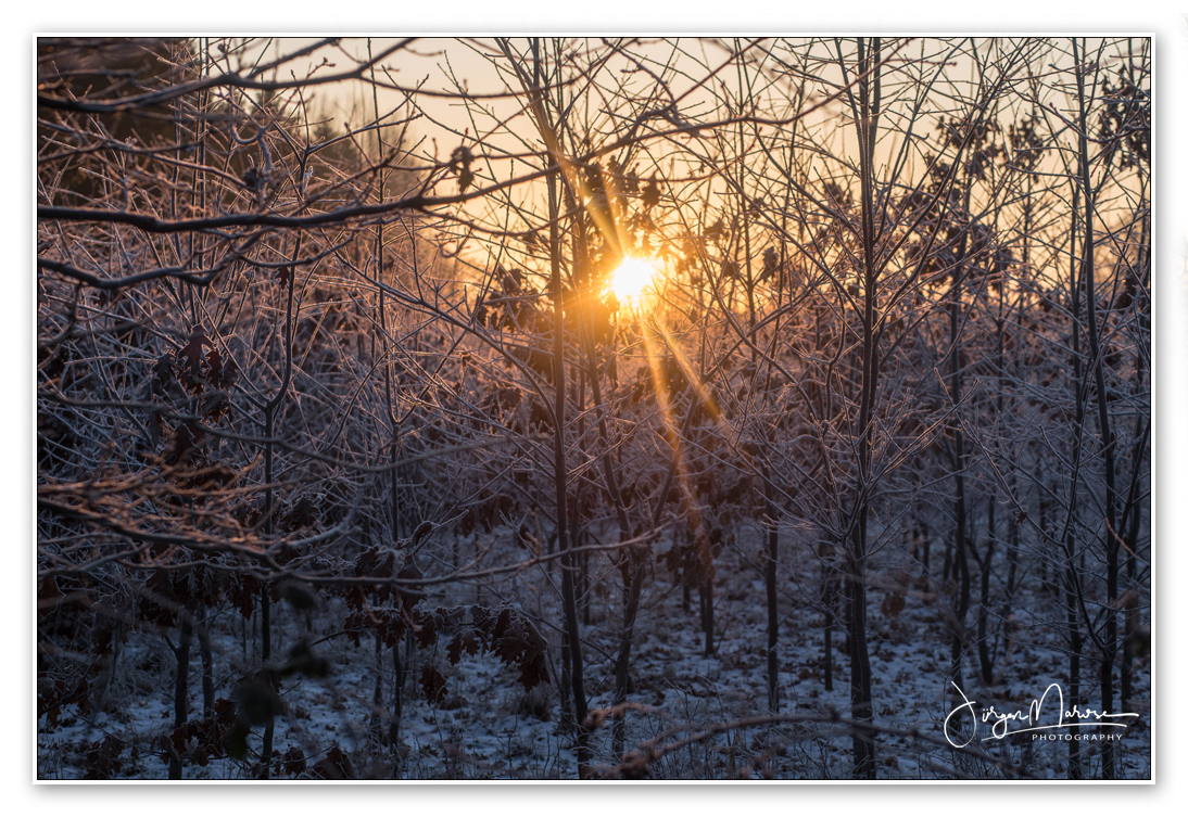 Wintersonne