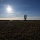 Wintersonne