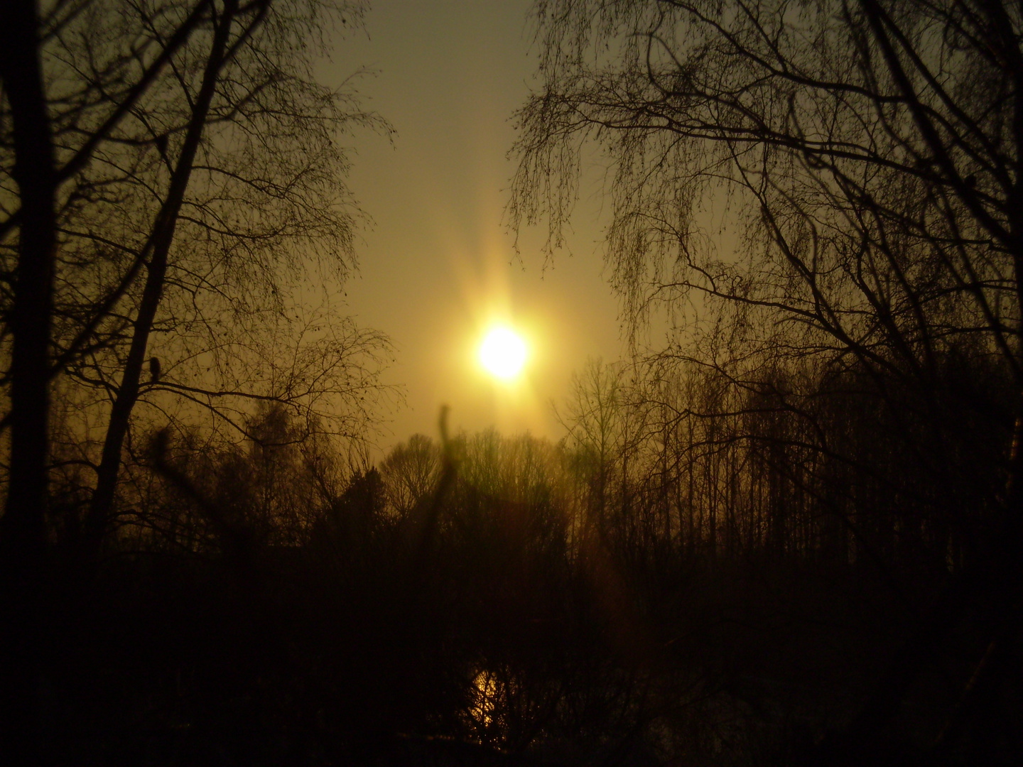 Wintersonne