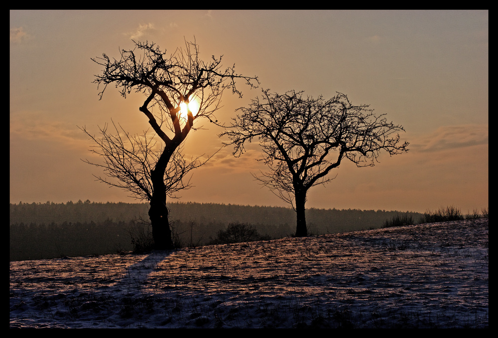 Wintersonne