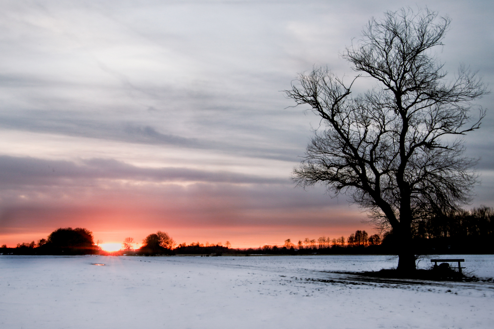 Wintersonne