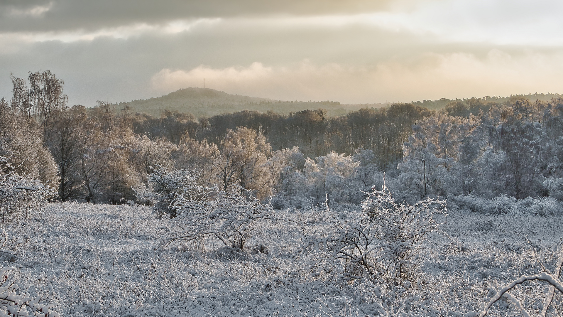 Wintersonne 